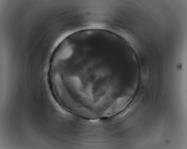 X0000100751422200807031325