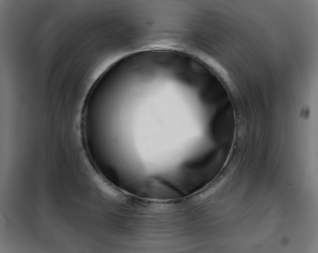 X0000100751423200807031325