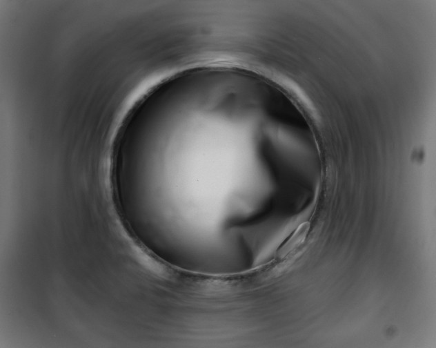 X0000100751424200807031325