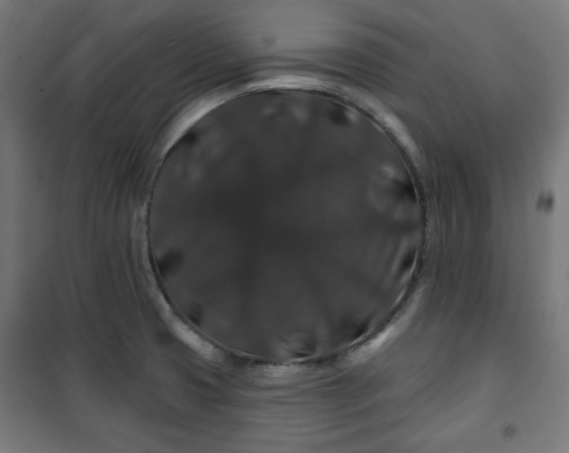 X0000100751425200807031325