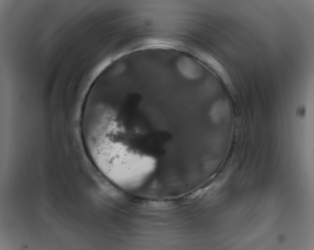 X0000100751427200807031325