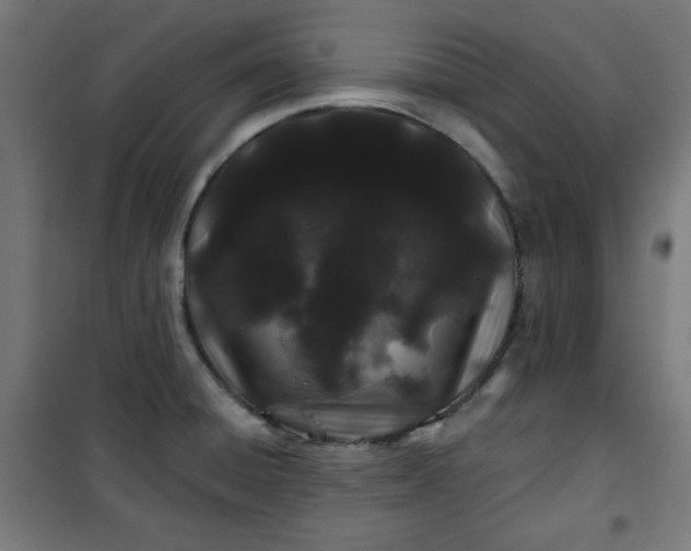 X0000100751428200807031325