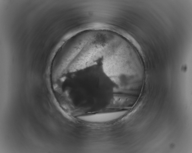 X0000100751429200807031325