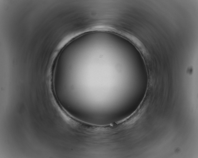 X0000100751430200807031325