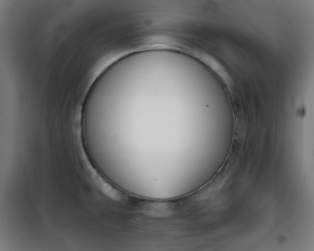 X0000100751431200807031325