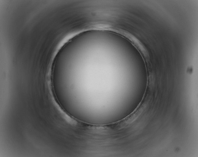 X0000100751432200807031325