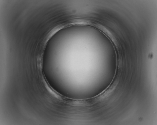 X0000100751433200807031325