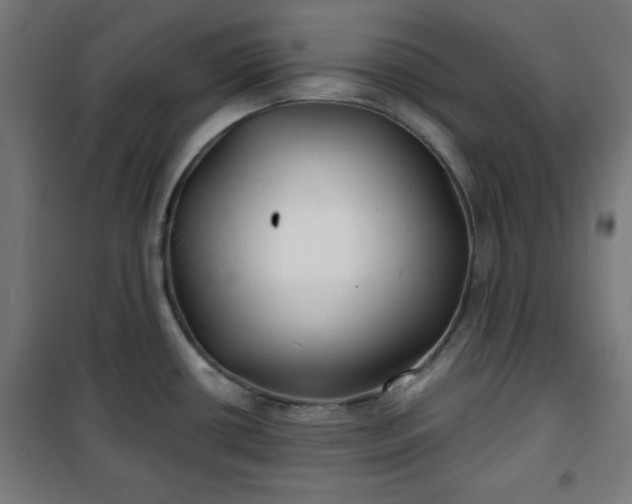 X0000100751434200807031325