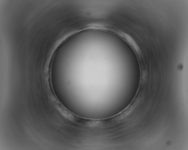 X0000100751435200807031325