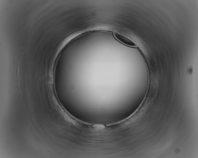 X0000100751436200807031326