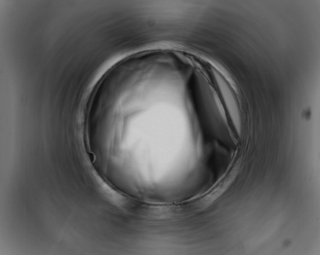 X0000100751438200807031326