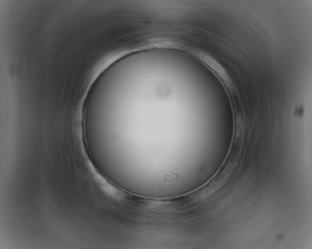 X0000100751439200807031326