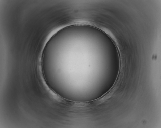 X0000100751440200807031326