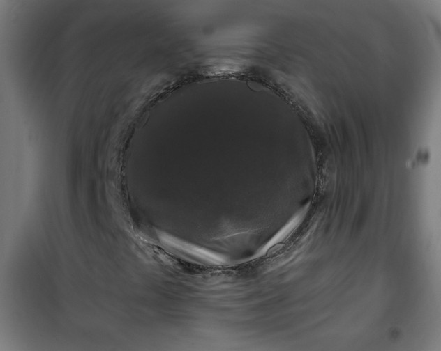 X0000100751441200807031325