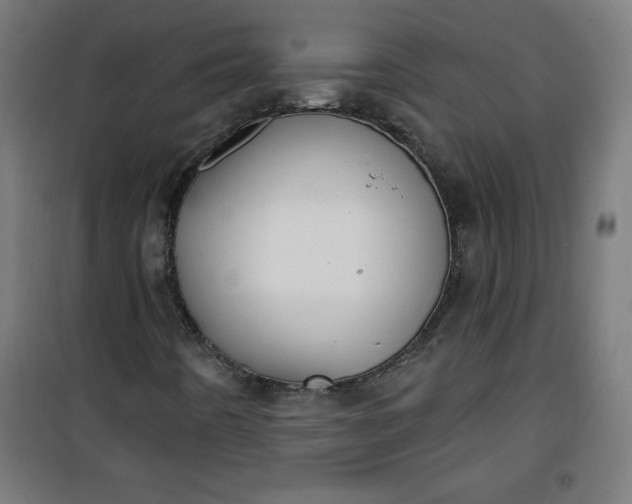 X0000100751442200807031325