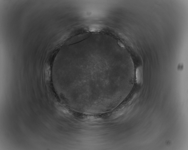 X0000100751443200807031325