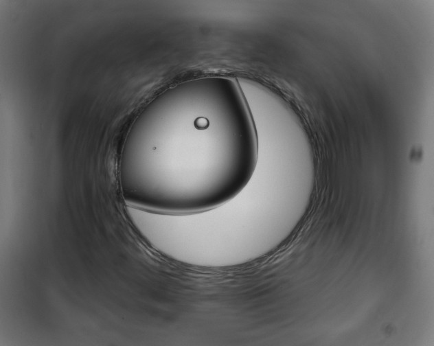 X0000100751444200807031325