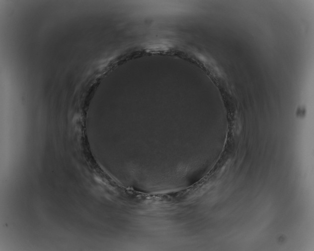 X0000100751445200807031325