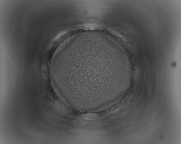 X0000100751446200807031325