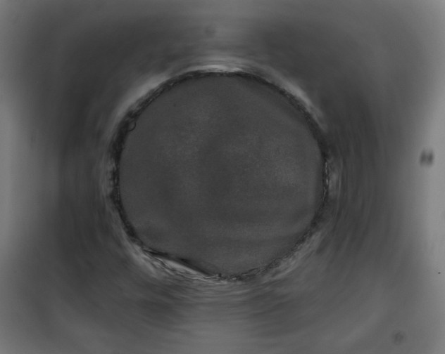 X0000100751448200807031325