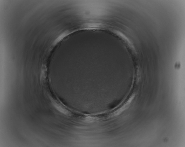 X0000100751449200807031325