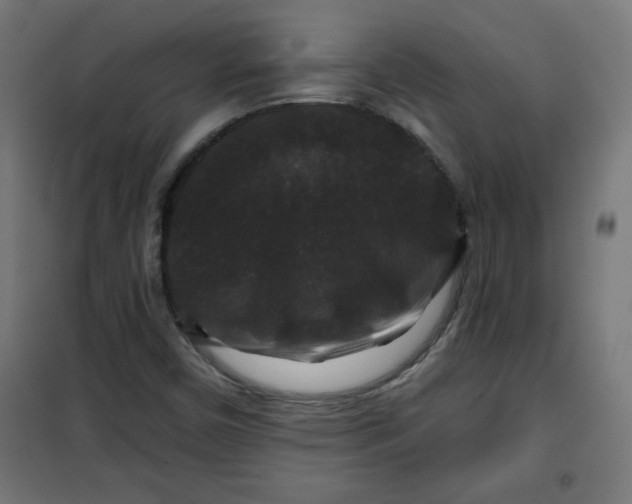 X0000100751450200807031325