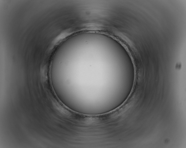 X0000100751451200807031325