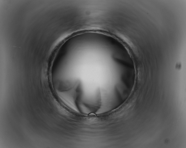 X0000100751452200807031325