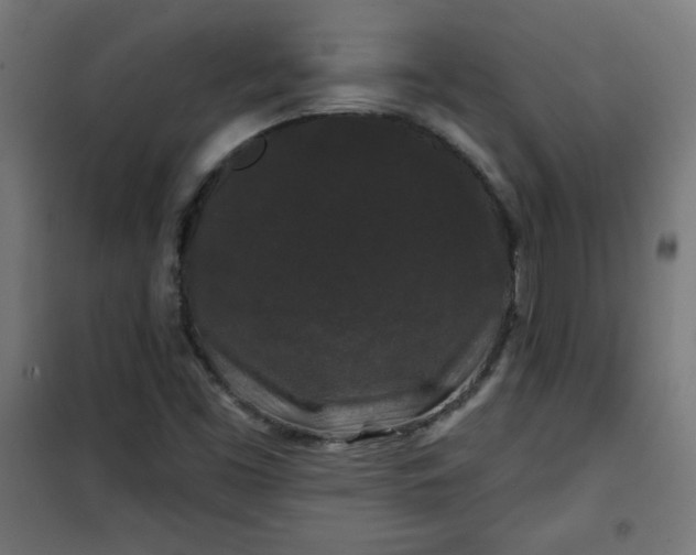 X0000100751453200807031325