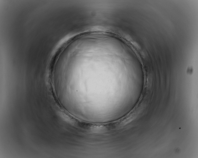 X0000100751454200807031325