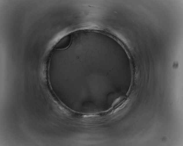 X0000100751455200807031325