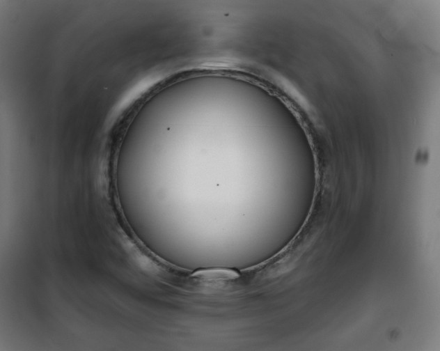 X0000100751456200807031325