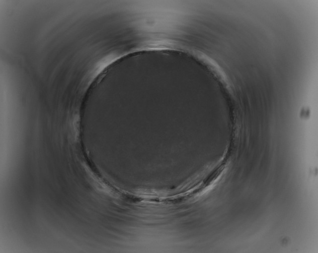 X0000100751457200807031325