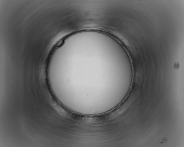 X0000100751458200807031325