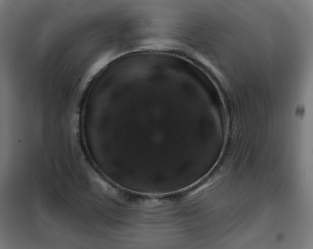 X0000100751459200807031325