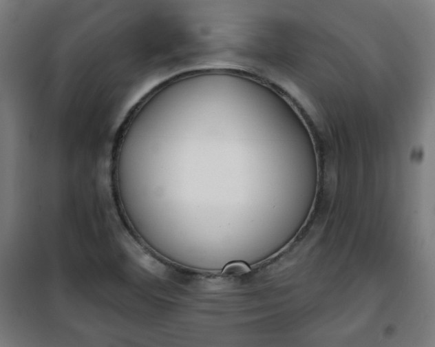 X0000100751460200807031325