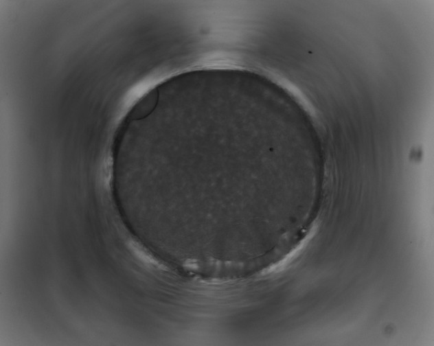 X0000100751461200807031325