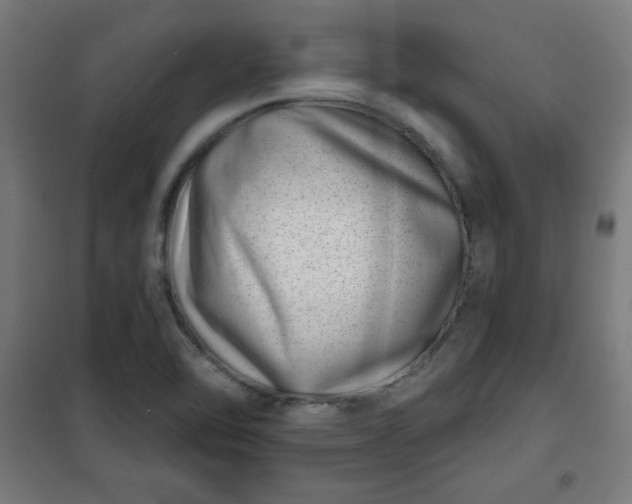 X0000100751462200807031324