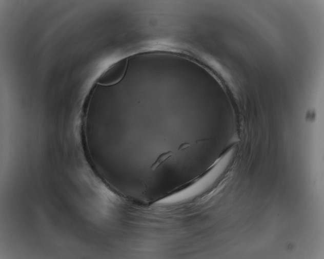 X0000100751463200807031324