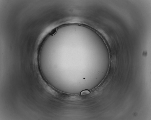 X0000100751464200807031324