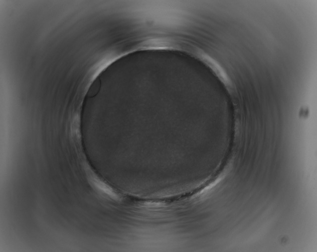 X0000100751465200807031324