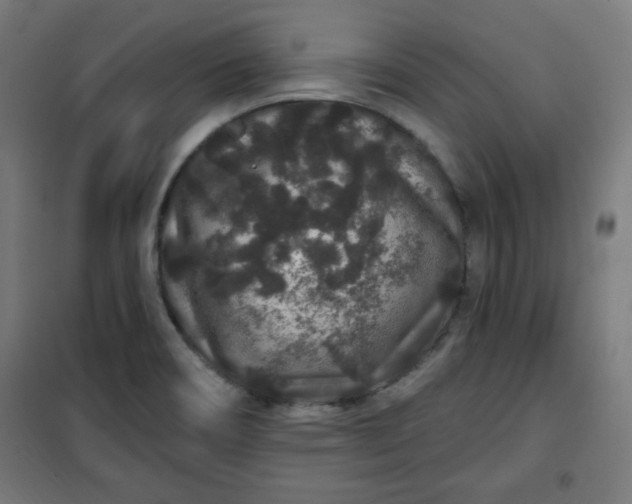 X0000100751466200807031324