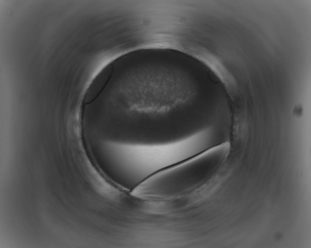 X0000100751468200807031324