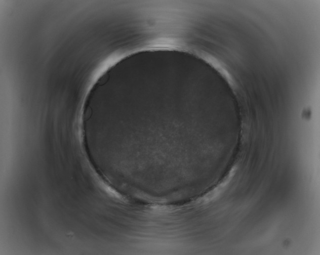 X0000100751469200807031324