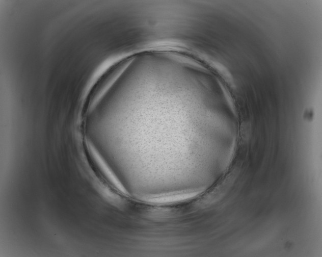 X0000100751470200807031324