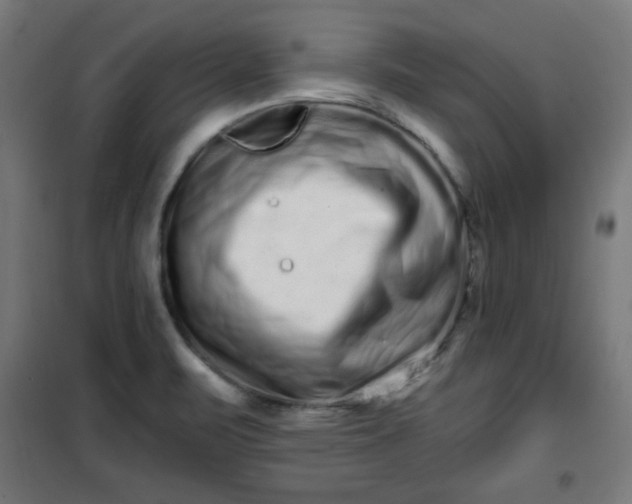 X0000100751471200807031324