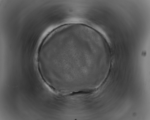 X0000100751472200807031324