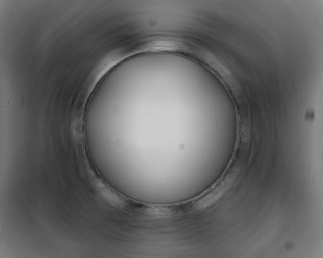 X0000100751473200807031324