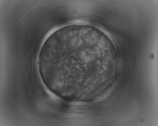 X0000100751474200807031324