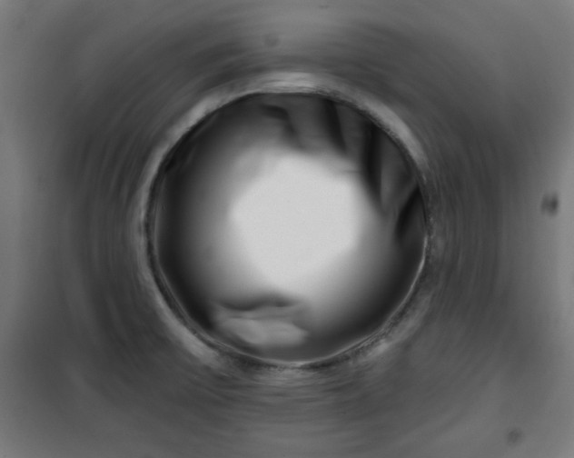 X0000100751475200807031324